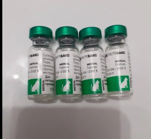 Purevax felv для кошек. Вакцина пуревакс. Вакцина пуревакс rcpch. Вакцина от лейкемии. В-на пуревакс felv вакцина.