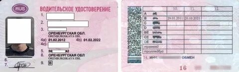 Как узнать серию номеров в гаи