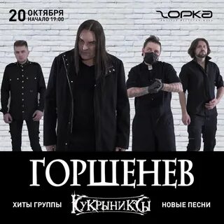 Проект горшенев