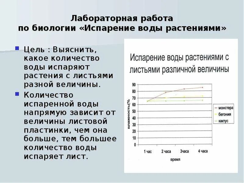 Практическая работа изучение при разных условиях. Лабораторная работа. Лабораторная работа по биологии испарение воды растениями. Испарение воды лабораторная работа. Листы для лабораторных работ.