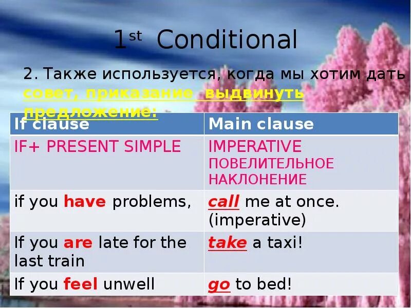 Conditionals 1