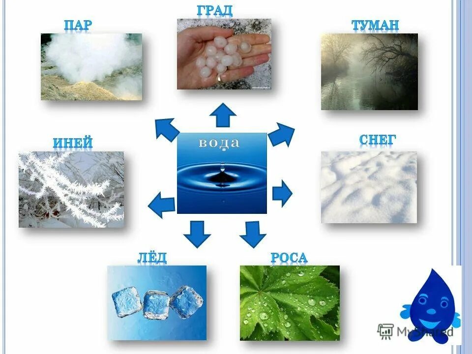 Схема по теме вода. Вода для дошкольников. состояние воды в природе для дошкольников. вода состояние воды для дошкольников. свойства воды для детей.