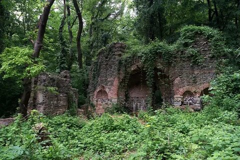 Белградский лес