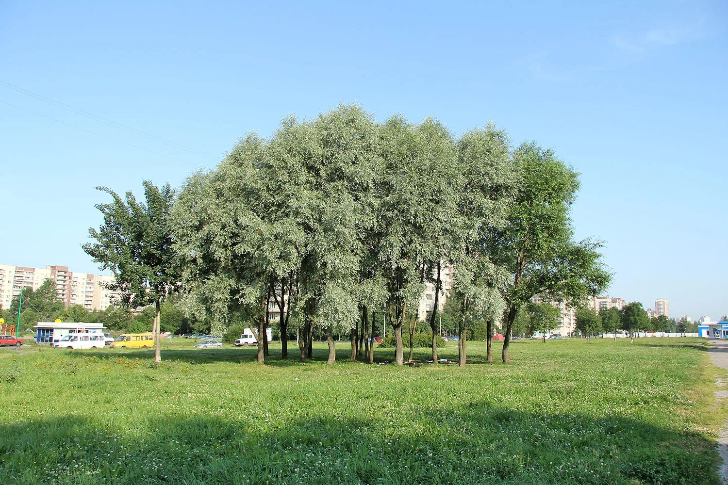 6. Работа малой карпатской. Улица малая карпатская дом 21. Баня 72 санкт-петербург малая карпатская улица. Работа малой карпатской.