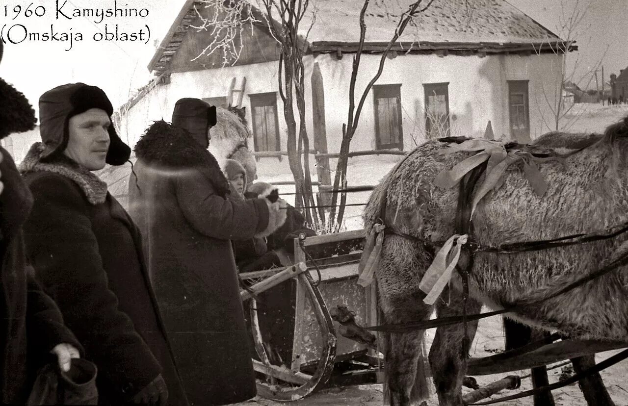 деревня 1960. 1960 деревня. советская деревня 1960х. деревня 1960. музей чая в москве.