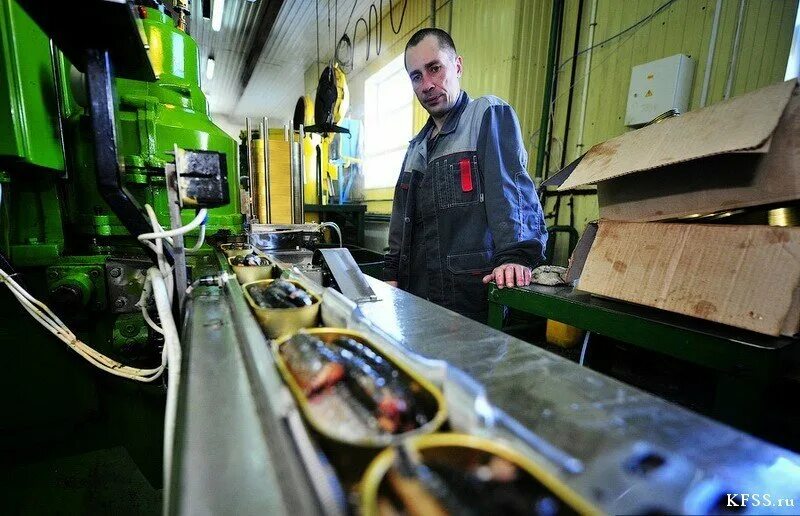 Консервный завод «южморрыбфлот». Тушенка консервированная завод саранский. Промышленность владимирской области. Ооо владимирский консервный завод. Рыбный завод.