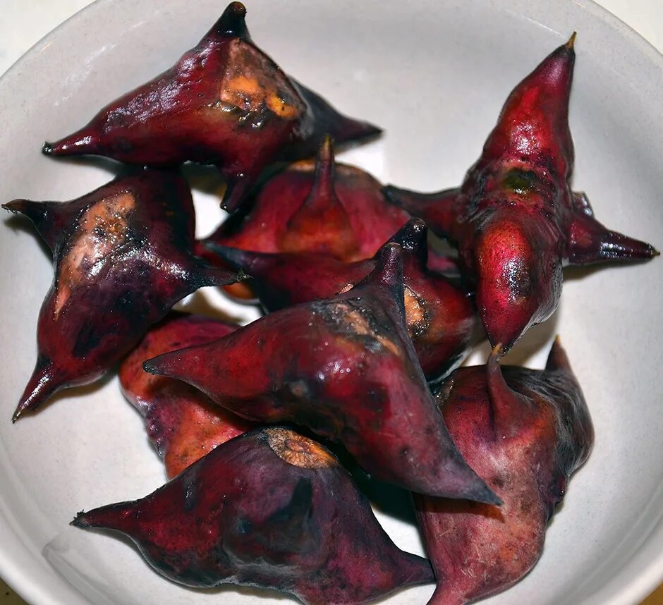 озерный орех чилим. алтайский водяной орех чилим. водный орех чилим. чили чилим. чилим водяной орех.