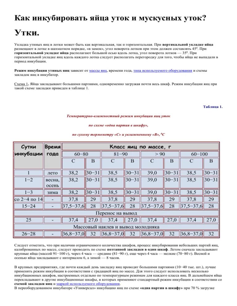 Условия инкубации утиных яиц. Инкубация индоуток в инкубаторе таблица. Таблица инкубации мускусных уток. Таблица инкубации яиц мускусной утки. Режим инкубации мускусных уток таблица.