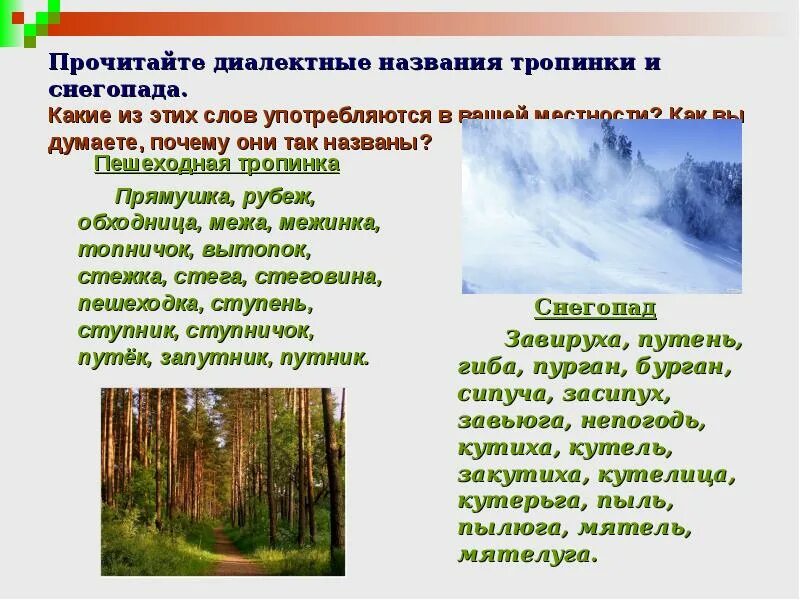 Диалектные слова к снегопад,. Диалектизм это троп. Эпитеты к слову тропинка. Диалекты к слову пешеходная тропинка.