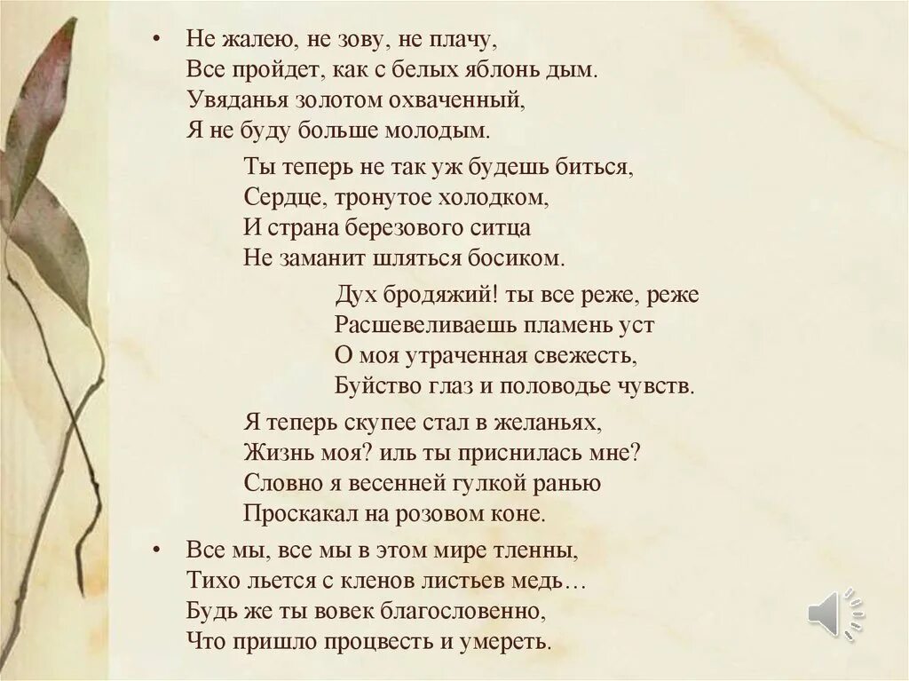 Стих на любую тему. Стихи с автором. Стихи я не. Авторские стихи.