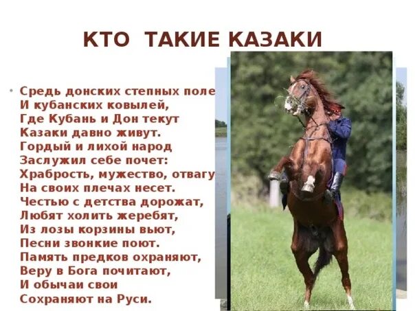 Казаки сообщение 6 класс. Казаки сообщение 6 класс