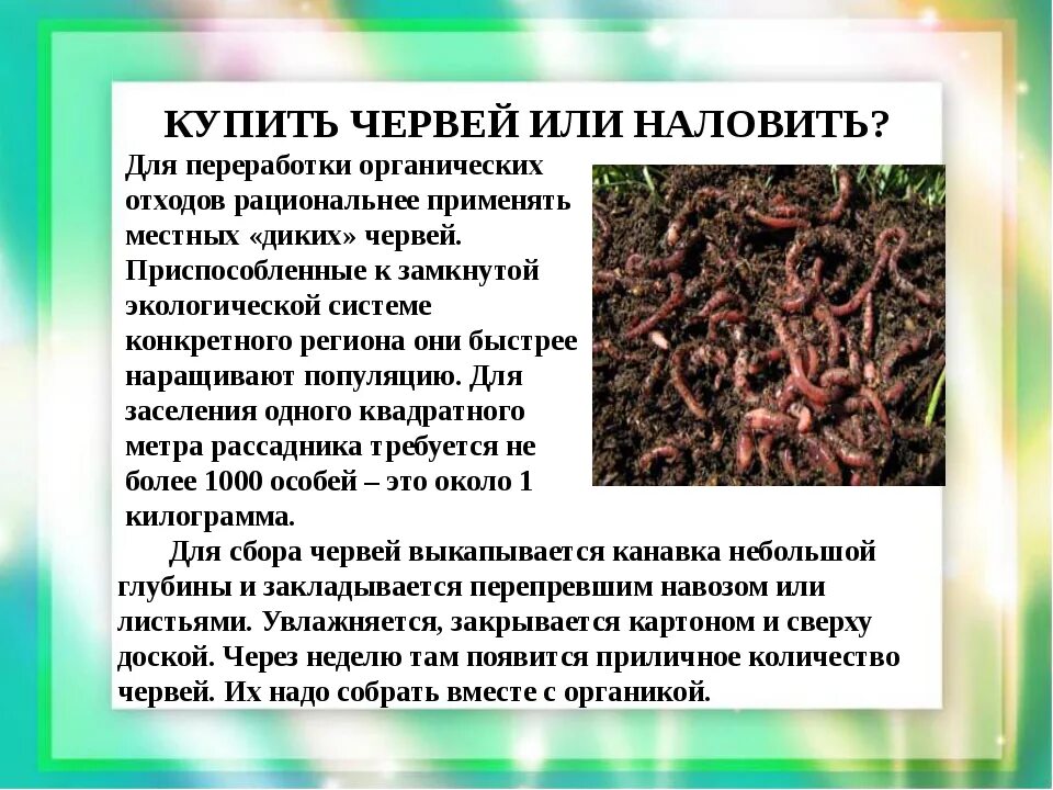 Дождевой червь прямое развитие. Презентация про червей дождевых. дождевой червь презентация. презентация 3 класс дождевой червь.