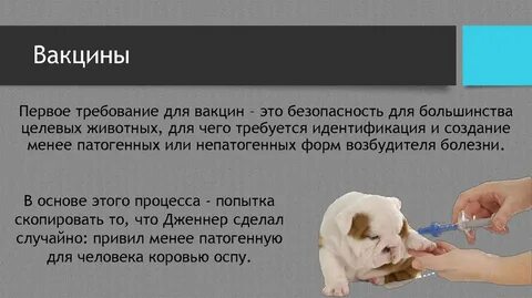 Вакцинация презентация