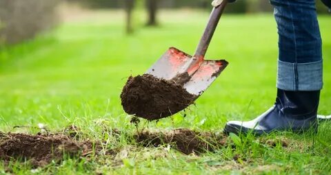 Digging your