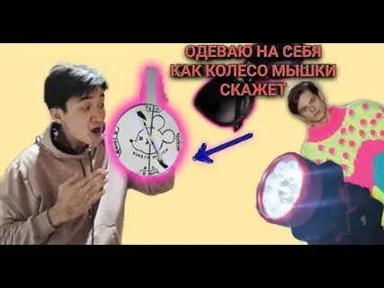 Колесо блоггер