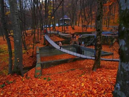 Ставрополь осень