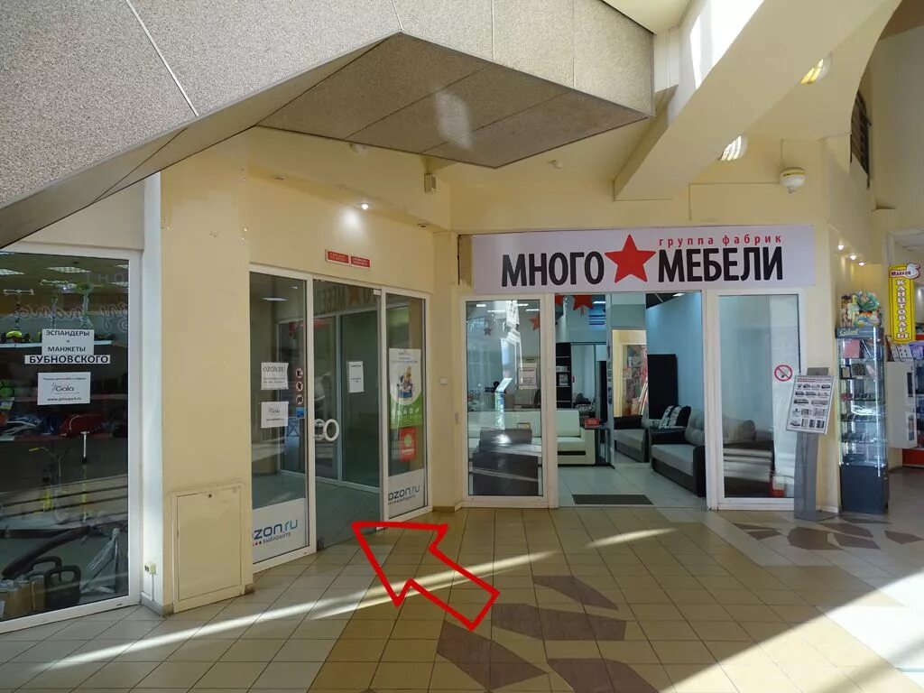 113 к. тк озерки санкт-петербург. м озерки. озерки карта. станция метро озерки санкт-петербург.