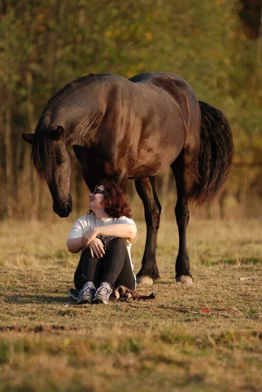Человек на лошади. Человек конь. Лошадь и человек Дружба. Обнимает лошадь. Доверие лошади