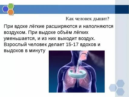 Я вышел на воздух освежиться