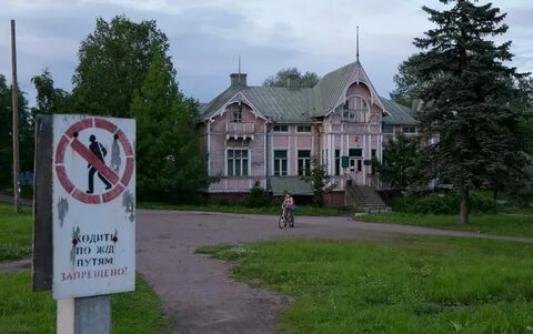 Jarvikala сортавала