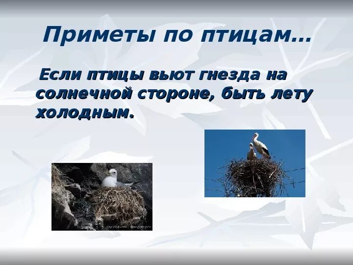 Art assorty ru народные приметы. Народные приметы. Презентация на тему народные приметы. Народные приметы о погоде. Приметы рисунок.