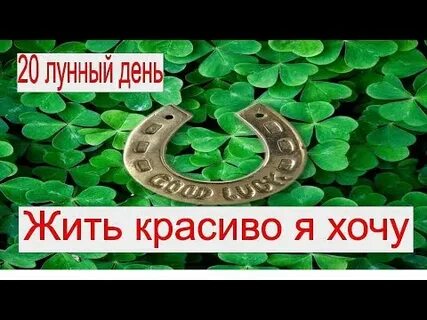 20 октября какой лунный день