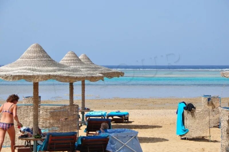 Египет ноябрь 2024. Hotelux oriental Coast Marsa Alam Resort. Hotelux oriental Coast (ex. Sentido oriental Dream Resort). ELUX oriental Coast (ex. Sentido oriental Dream Resort) 5* Египет, Марса Алам. Hotelux oriental Coast фото.