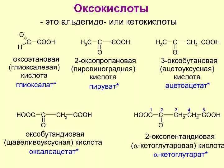 Изомерия кетокислот. Альфа кетокислоты формулы. Структурная формула кетокислота. Оксокислоты альдегидо- и кетокислоты.