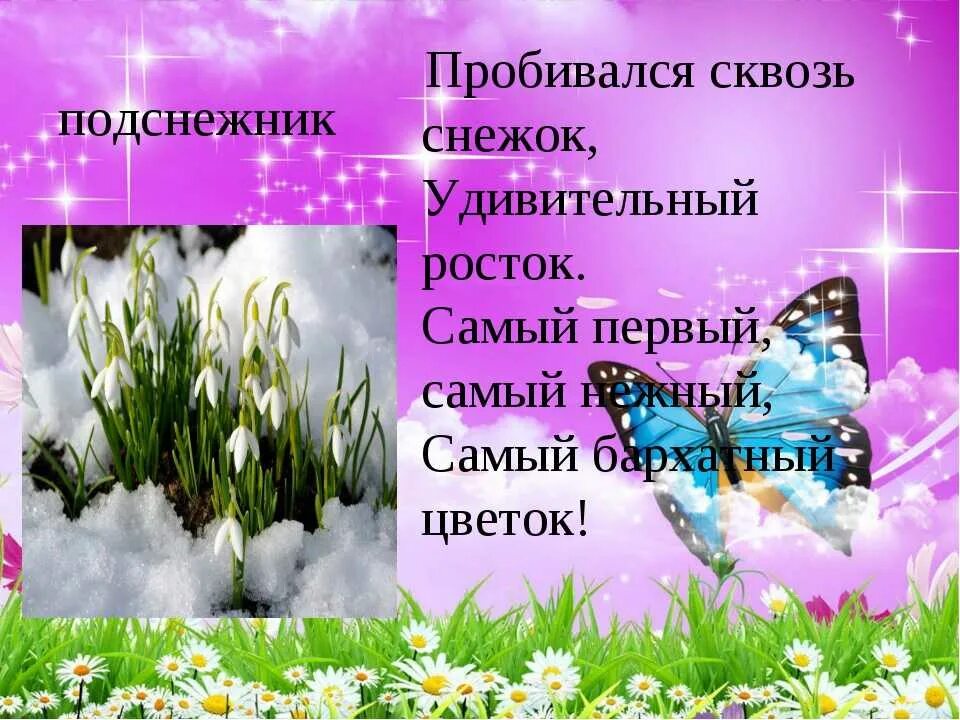 Загадки про весну. Загадка про Подснежник. Весенние загадки. Весенние загадки для дошкольников. Загадка про подснежник для детей