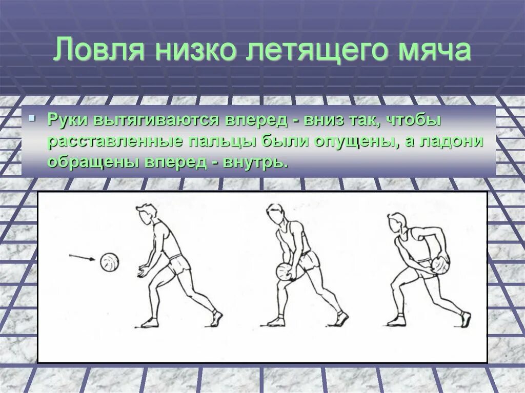 Верхняя передача мяча в волейболе упражнения. Введение мяча с изменением направления в баскетболе. Виды стоек в баскетболе. Ведение с высоким отскоком мяча в баскетболе. Техника низкий мяч.