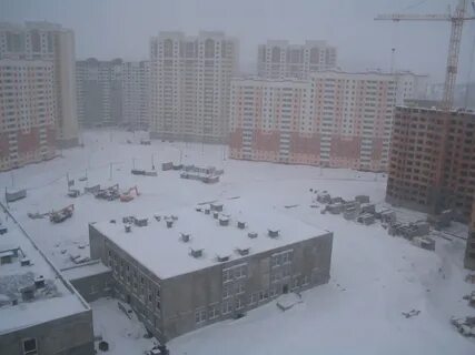 Пойма школы
