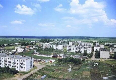 Арзамас бебяево