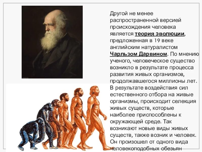 Версии происхождения человека. Теория Чарльза Дарвина о происхождении человека. Происхождение человека философия. Как называли человека который являлся
