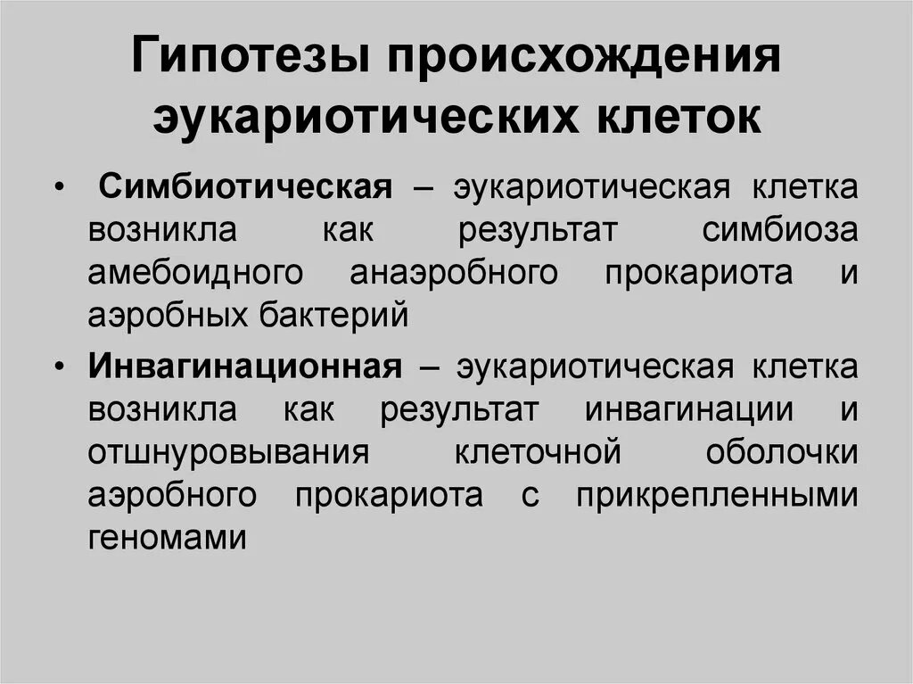 Гипотезы происхождения эукариот. Гипотезы происхождения ЭУ. Гипотезы происхождения эукариот кратко. Симбиотическая гипотеза возникновения эукариот кратко. Появление эукариотических организмов