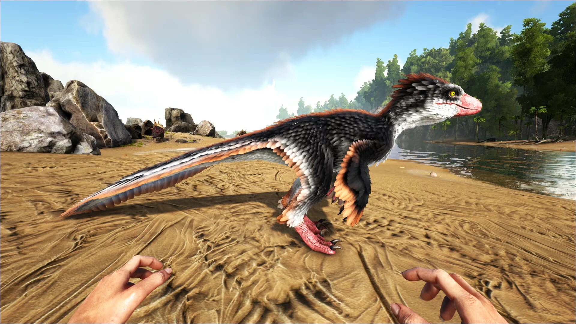 "Дейноних". Ark Дейноних. Дейноних Deinonychus АРК. АРК сурвайвал Дейноних. Ark evolved mod