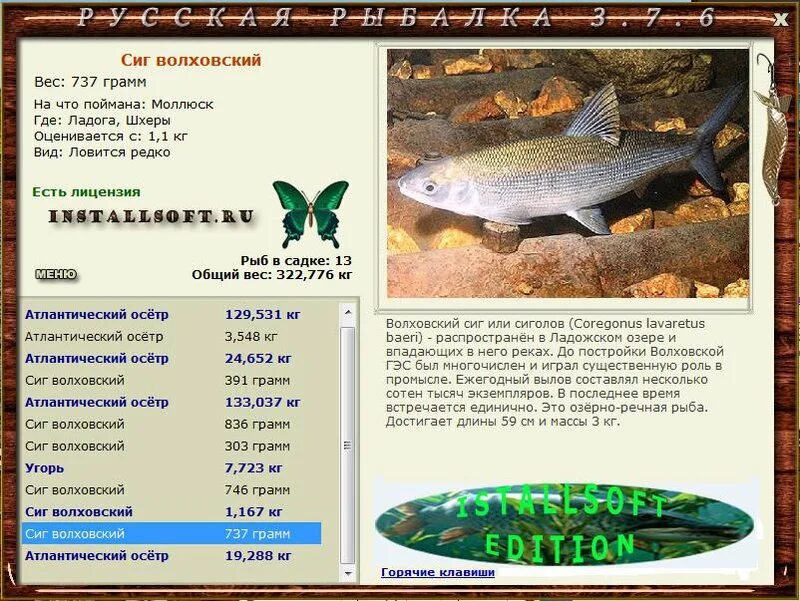 волховский сиг. волховский сиг. волховский сиг. волховский сиг. волховский сиг.