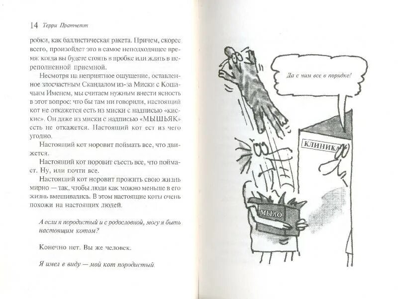 Кот без дураков книга. Терри пратчетт кот без прикрас. кот без прикрас терри пратчетт книга. кот без дураков книга книги терри пратчетта. пратчетт книга про кота.