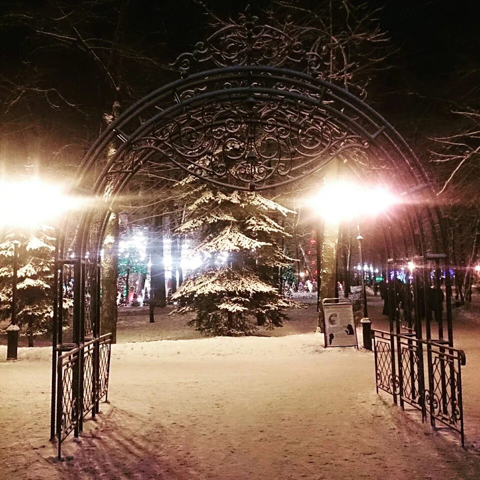 В смоленске зажгли главную елку. Смоленск новый год 2024. Корпорация праздников ёлки, смоленск. Рождественский смоленск. Смоленск новый год 2024.