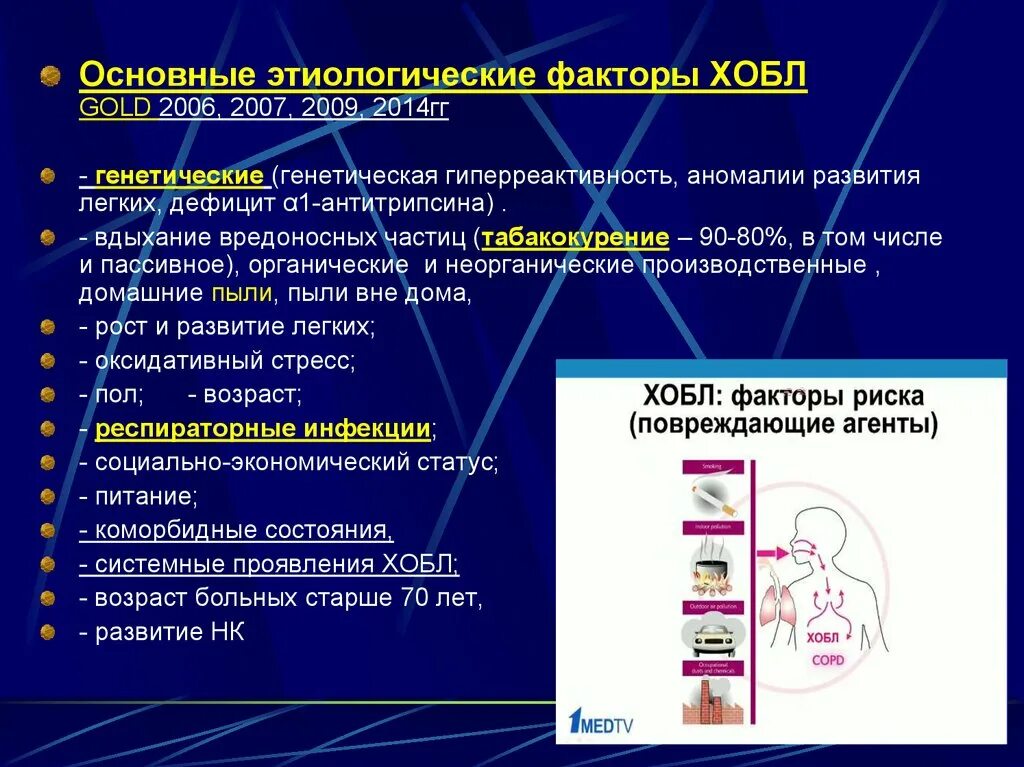 Хроническими болезнями легких астмой. Этиологические факторы ХОБЛ. Основной этиологический фактор ХОБЛ. Факторы развития ХОБЛ. ХОБЛ основные факторы.