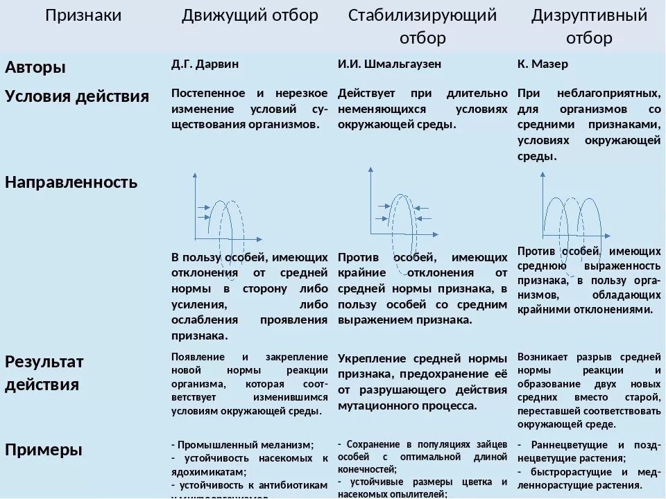 Условия среды изменяются какой отбор. Таблица признаки движущий отбор стабилизирующий отбор. Формы естественного отбора: движущий отбор, стабилизирующий отбор.. Характеристика основных форм естественного отбора. Характеристика форм естественного отбора стабилизирующий движущий.