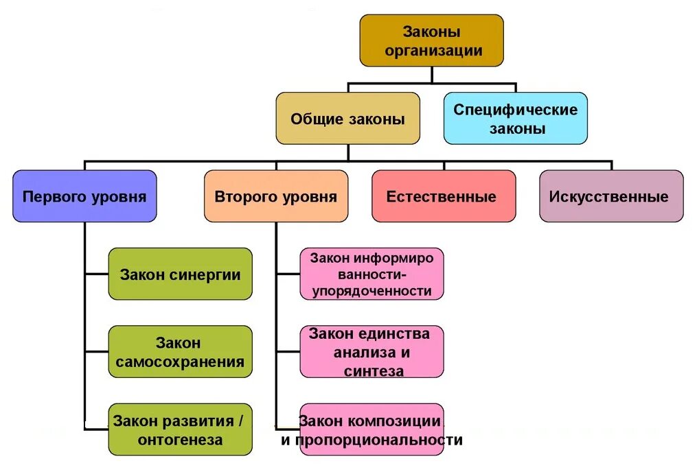 Принципы закона развития в теории организации. Законы формирования предприятий. К законам организации относятся. Перечислите Общие законы организации.