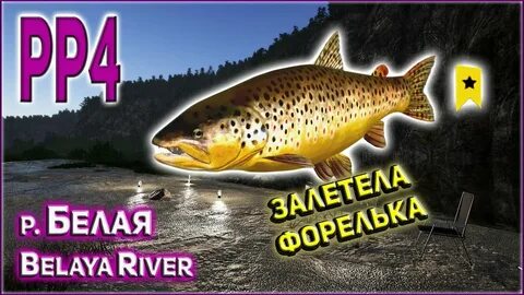 Рр4 форель на белой