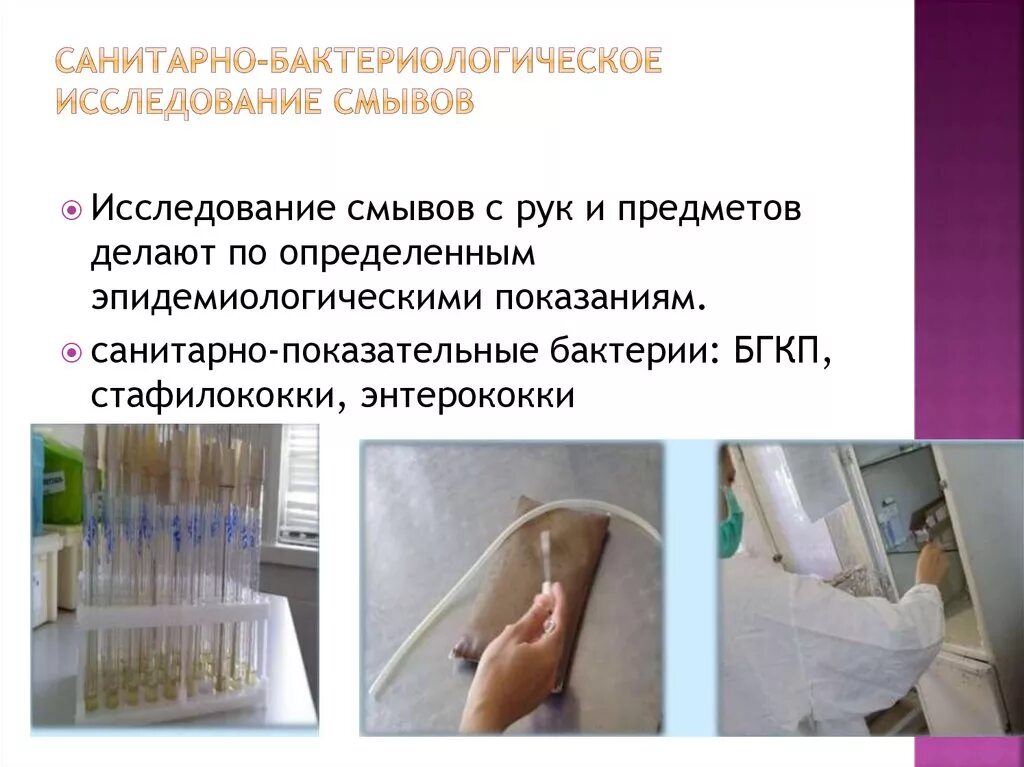 Обязательно ли бактериологическое. Санитарно-бактериологическое исследование смывов. санитарно бактериологическое исследование смывов с рук. микробиологические исследования смывов. санитарно-микробиологическое исследование смывов с рук.