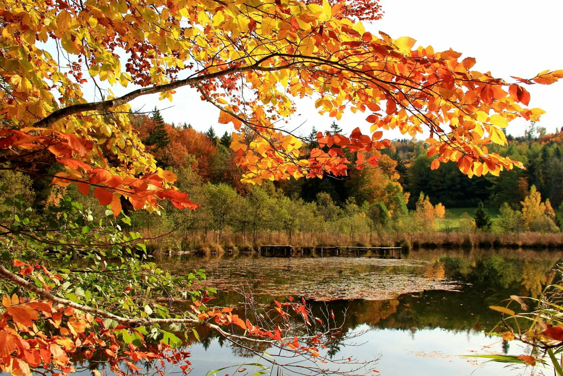 Картинки осень природа. Природа осень. Красивая осень. Природа осенью. Красота осени.