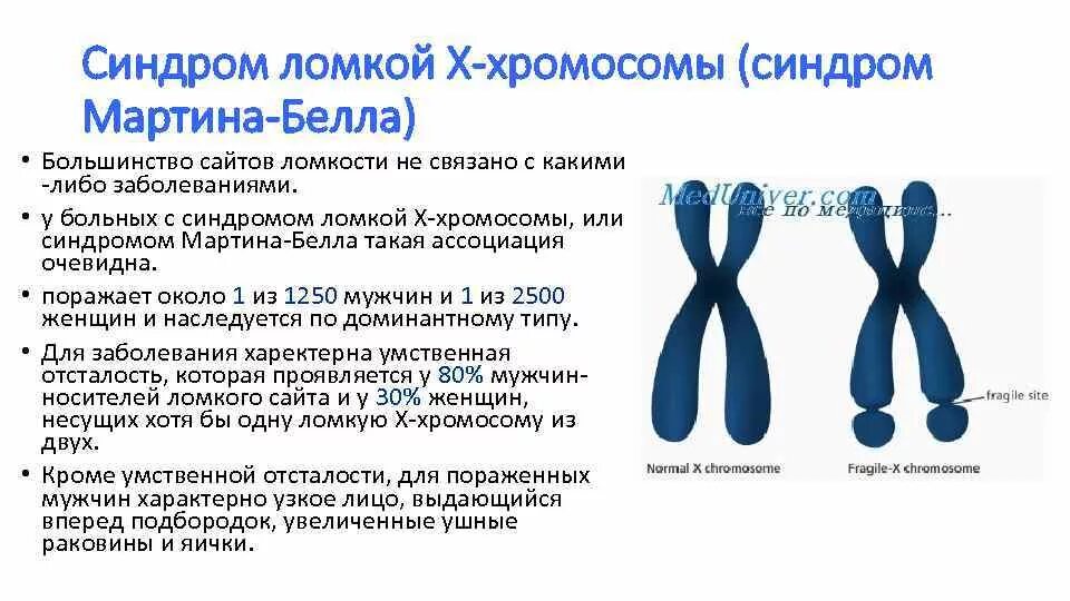 Удвоение хромосом какая мутация. Синдром ломкой х-хромосомы Тип наследования.