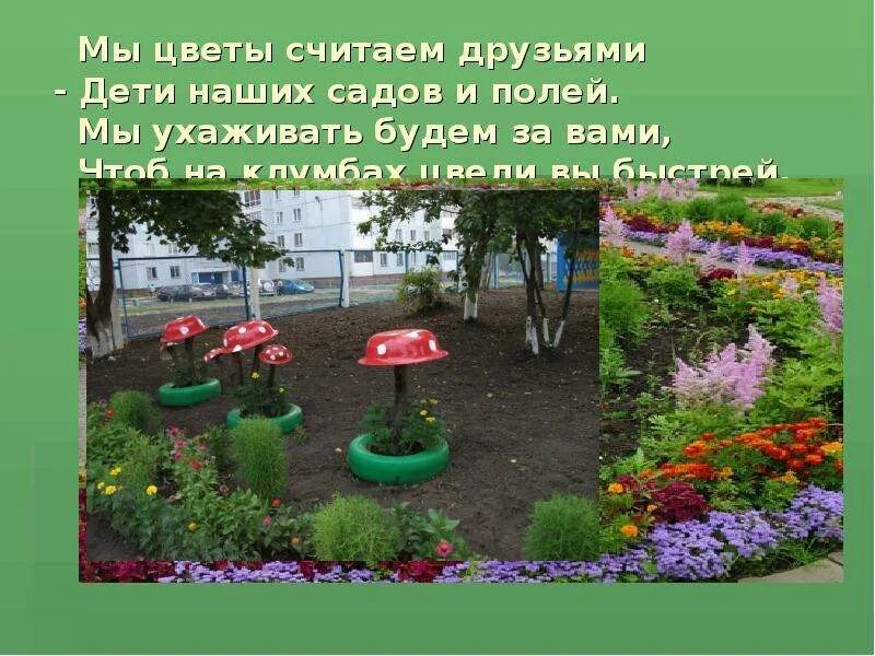 Цель клумбы. Презентация клумбы в детском саду. презентация цветочных клумб в детском саду. проект цветы на клумбе в школе. проект моя клумба.