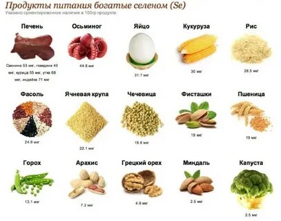 Продукты содержащие витамин в 1