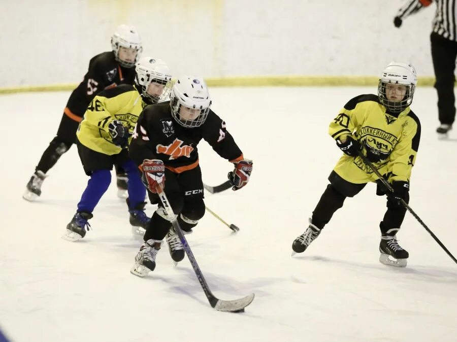 золотая шайба астрахань 2010 год 2021 год. золотая шайба 1970е ангарск. золотая шайба тарасов. хоккей золотая шайба. золотая шайба беларусь.