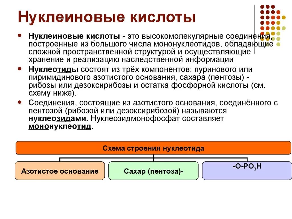 Нуклеиновые кислоты просто