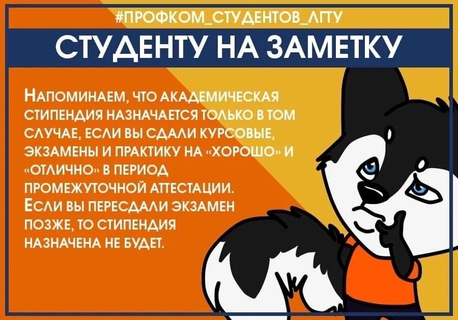 Лагерь политехник саратов. Профком лгту фото. Политехник липецк лгту. Профком лгту. Политехник липецк лгту.